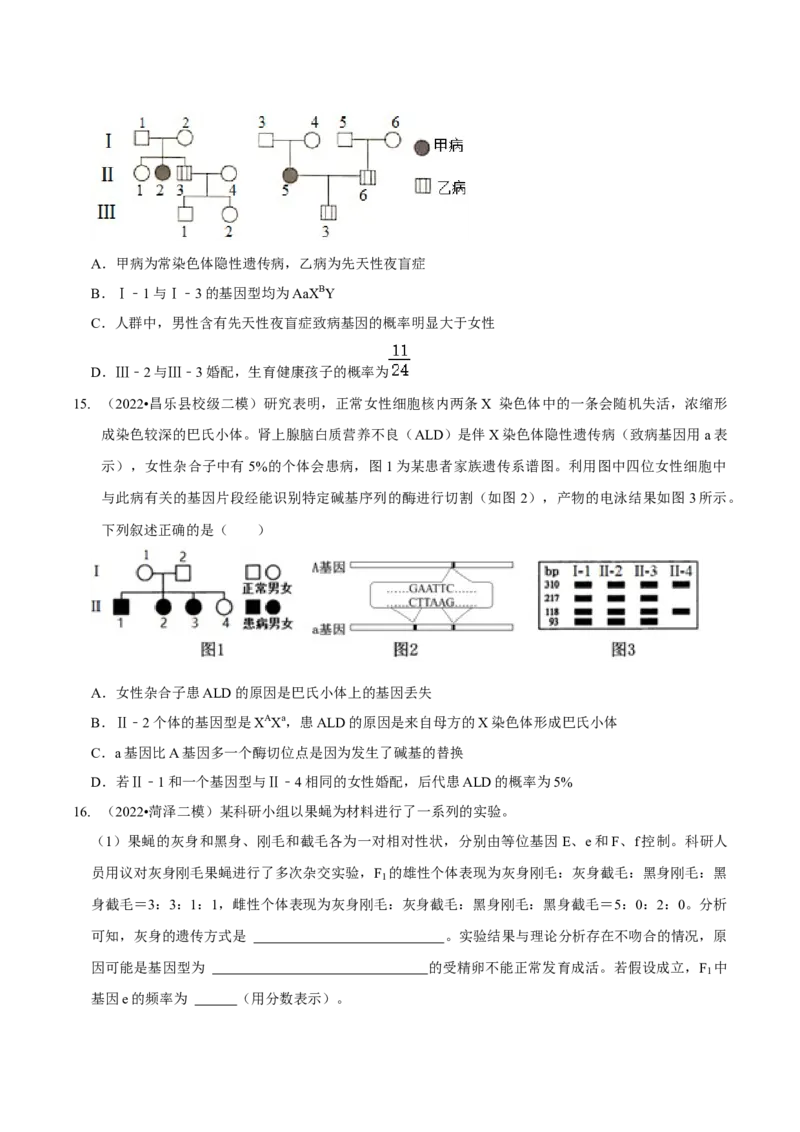 题型13伴性遗传的经典题型（题型集训）（原卷版）_新高考复习资料_2023年新高考复习资料_二轮复习_技巧点拨备战2023年高考生物二轮题型复习讲解286731240