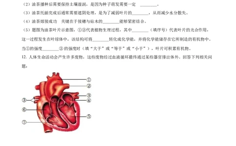 精品解析：2022年湖北省咸宁市中考生物真题（原卷版）_6生物中考复习_2025中考复习资料_中考真题（近三年）_2022年生物中考真题114份_精品解析：2022年湖北省咸宁市中考生物真题