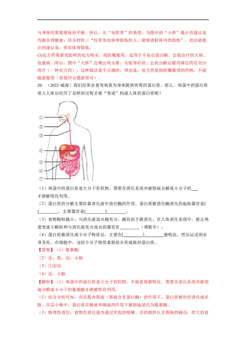 重难点05生物圈中的人（一）-2023年中考生物热点&middot;重点&middot;难点专练（全国通用）（解析版）_6生物中考复习_2023年中考复习资料_专项复习
