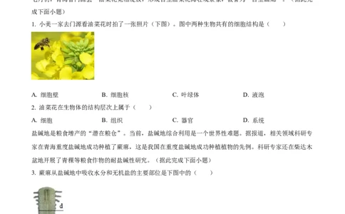 精品解析：2024年青海省中考生物真题（原卷版）_new_6生物中考复习_2025中考复习资料_中考真题（近三年）_2024年生物中考真题