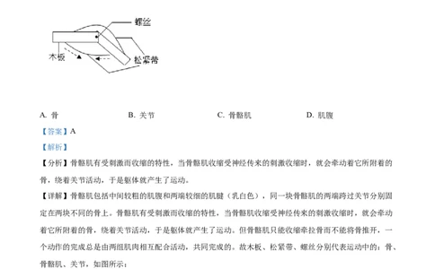 精品解析：2022年海南省中考生物真题（解析版）_6生物中考复习_2025中考复习资料_中考真题（近三年）_2022年生物中考真题114份_精品解析：2022年海南省中考生物真题