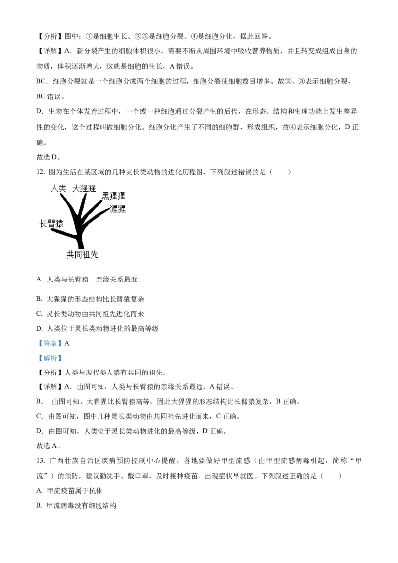精品解析：2023年广西生物中考真题（解析版）_new_6生物中考复习_2025中考复习资料_中考真题（近三年）_2023年生物中考真题