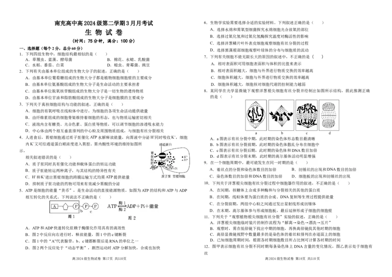 高2024级3月月考生物试卷终(1)_2025年03月试卷_0321四川省南充市高级中学2024-2025学年高一下学期3月月考试题_四川省南充市高级中学2024-2025学年高一下学期3月月考试题生物Word版含答案