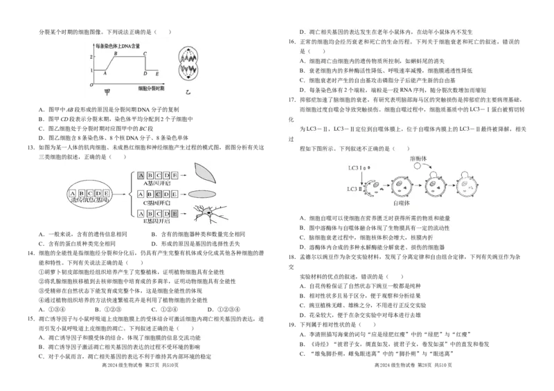 高2024级3月月考生物试卷终(1)_2025年03月试卷_0321四川省南充市高级中学2024-2025学年高一下学期3月月考试题_四川省南充市高级中学2024-2025学年高一下学期3月月考试题生物Word版含答案