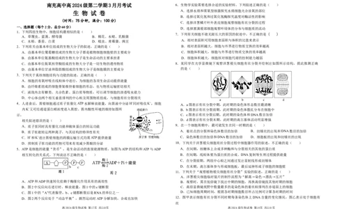 高2024级3月月考生物试卷终(1)_2025年03月试卷_0321四川省南充市高级中学2024-2025学年高一下学期3月月考试题_四川省南充市高级中学2024-2025学年高一下学期3月月考试题生物Word版含答案