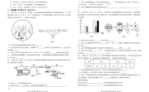 高2024级3月月考生物试卷终(1)_2025年03月试卷_0321四川省南充市高级中学2024-2025学年高一下学期3月月考试题_四川省南充市高级中学2024-2025学年高一下学期3月月考试题生物Word版含答案