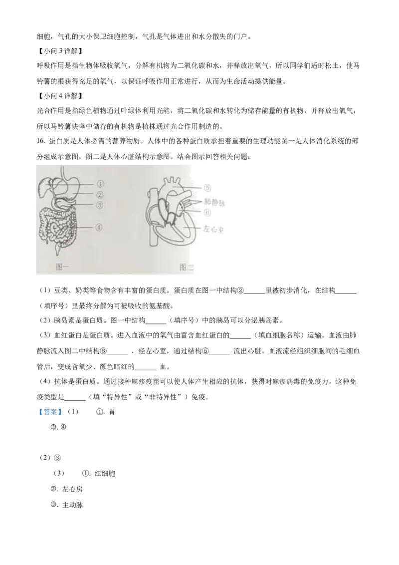 精品解析：2023年辽宁省营口市中考生物真题（解析版）_new_6生物中考复习_2025中考复习资料_中考真题（近三年）_2023年生物中考真题