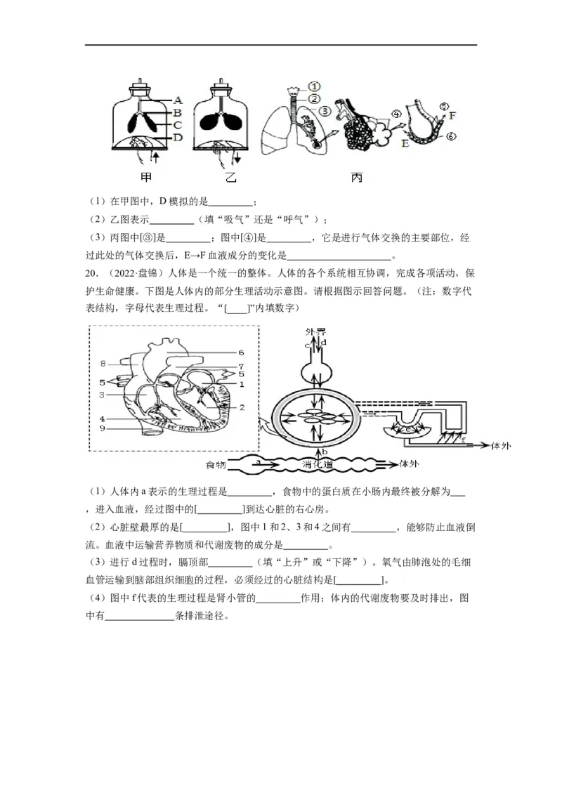 重难点05生物圈中的人（二）-2023年中考生物热点&middot;重点&middot;难点专练（全国通用）（原卷版）_6生物中考复习_2023年中考复习资料_专项复习