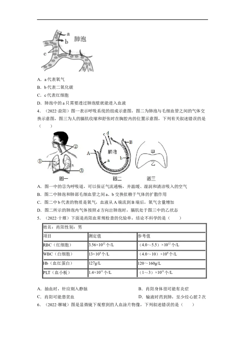 重难点05生物圈中的人（二）-2023年中考生物热点&middot;重点&middot;难点专练（全国通用）（原卷版）_6生物中考复习_2023年中考复习资料_专项复习