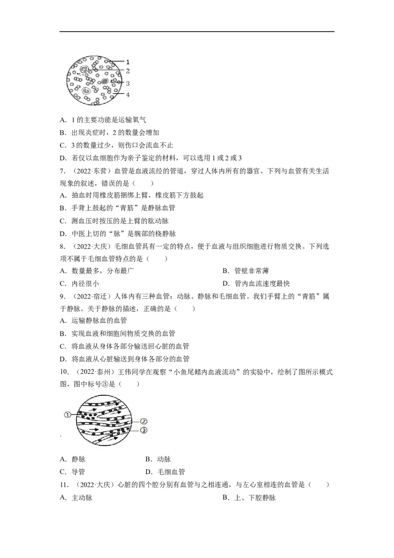重难点05生物圈中的人（二）-2023年中考生物热点&middot;重点&middot;难点专练（全国通用）（原卷版）_6生物中考复习_2023年中考复习资料_专项复习