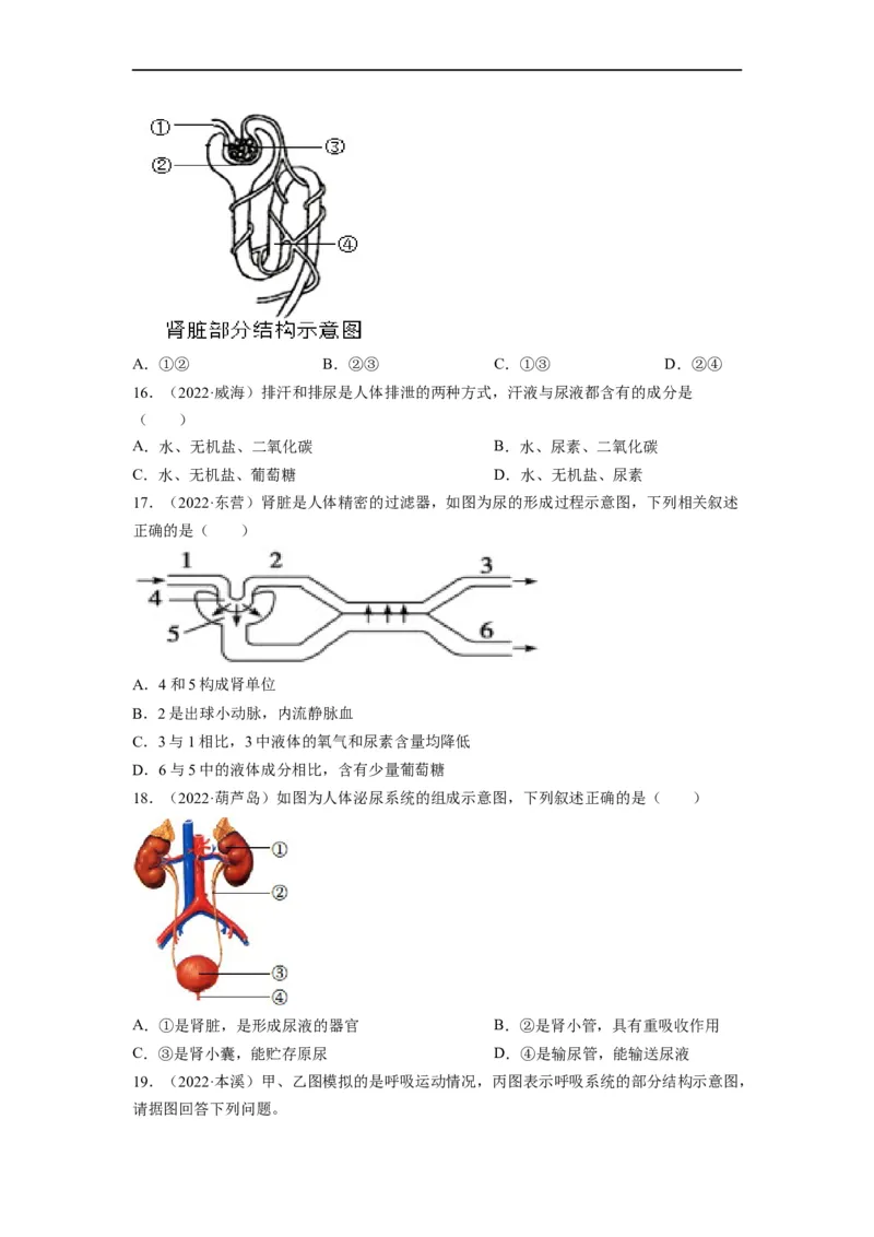 重难点05生物圈中的人（二）-2023年中考生物热点&middot;重点&middot;难点专练（全国通用）（原卷版）_6生物中考复习_2023年中考复习资料_专项复习