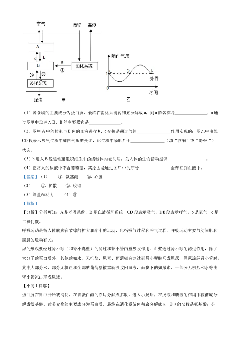 精品解析：2023年湖南省永州市中考生物真题（解析版）_new_6生物中考复习_2025中考复习资料_中考真题（近三年）_2023年生物中考真题