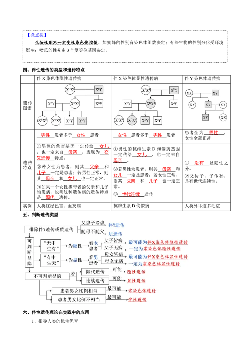 题型13伴性遗传的经典题型（核心知识）（解析版）_新高考复习资料_2023年新高考复习资料_二轮复习_技巧点拨备战2023年高考生物二轮题型复习讲解286731240