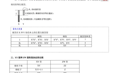 题型13伴性遗传的经典题型（核心知识）（解析版）_新高考复习资料_2023年新高考复习资料_二轮复习_技巧点拨备战2023年高考生物二轮题型复习讲解286731240
