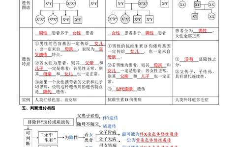 题型13伴性遗传的经典题型（核心知识）（解析版）_新高考复习资料_2023年新高考复习资料_二轮复习_技巧点拨备战2023年高考生物二轮题型复习讲解286731240