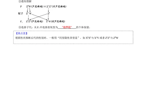 题型13伴性遗传的经典题型（核心知识）（解析版）_新高考复习资料_2023年新高考复习资料_二轮复习_技巧点拨备战2023年高考生物二轮题型复习讲解286731240