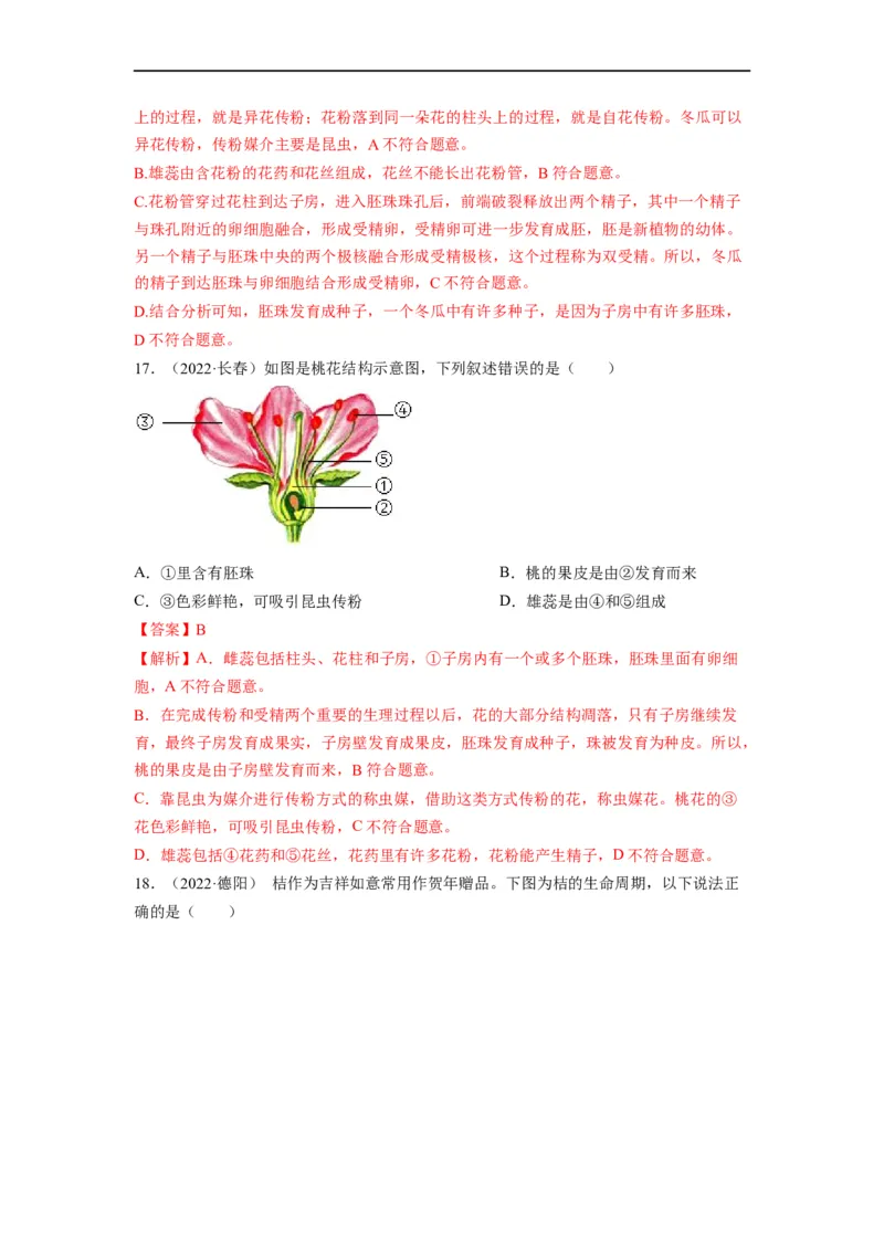 重难点04生物圈中的绿色植物（二）-2023年中考生物热点&middot;重点&middot;难点专练（全国通用）（解析版）_6生物中考复习_2023年中考复习资料_专项复习