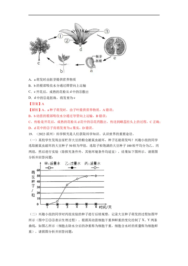 重难点04生物圈中的绿色植物（二）-2023年中考生物热点&middot;重点&middot;难点专练（全国通用）（解析版）_6生物中考复习_2023年中考复习资料_专项复习