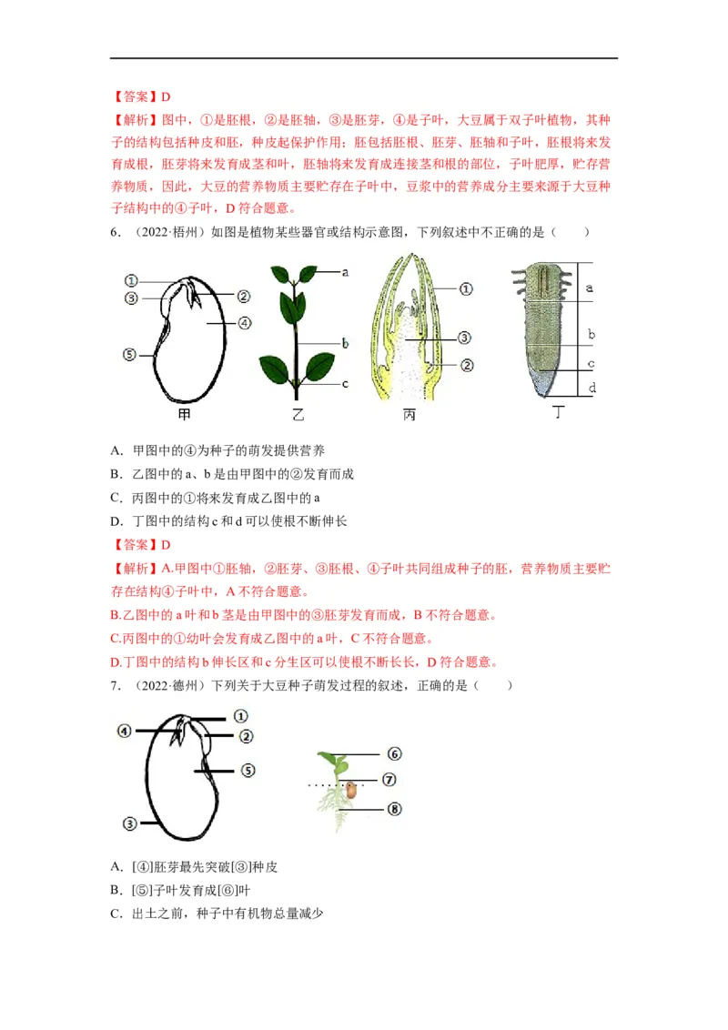 重难点04生物圈中的绿色植物（二）-2023年中考生物热点&middot;重点&middot;难点专练（全国通用）（解析版）_6生物中考复习_2023年中考复习资料_专项复习