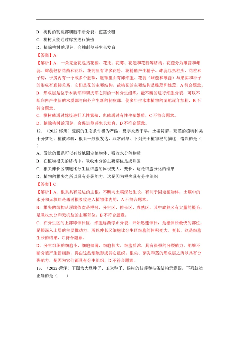 重难点04生物圈中的绿色植物（二）-2023年中考生物热点&middot;重点&middot;难点专练（全国通用）（解析版）_6生物中考复习_2023年中考复习资料_专项复习