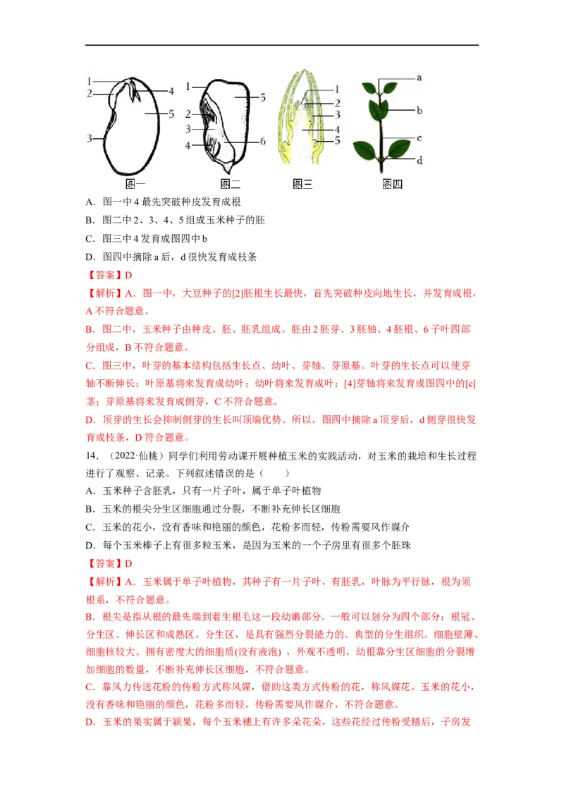 重难点04生物圈中的绿色植物（二）-2023年中考生物热点&middot;重点&middot;难点专练（全国通用）（解析版）_6生物中考复习_2023年中考复习资料_专项复习