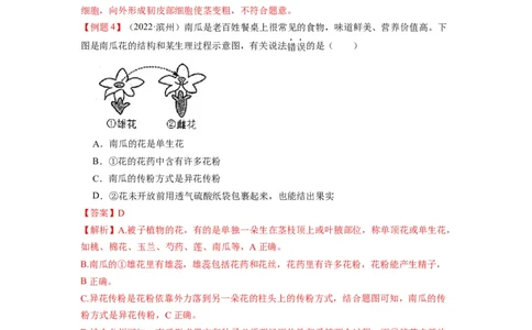 重难点04生物圈中的绿色植物（二）-2023年中考生物热点&middot;重点&middot;难点专练（全国通用）（解析版）_6生物中考复习_2023年中考复习资料_专项复习
