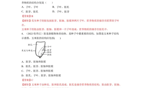 重难点04生物圈中的绿色植物（二）-2023年中考生物热点&middot;重点&middot;难点专练（全国通用）（解析版）_6生物中考复习_2023年中考复习资料_专项复习