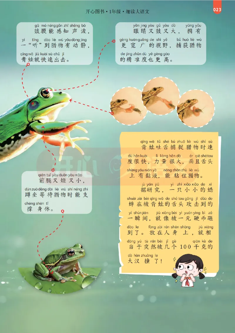 1下趣读大语文-围绕课本做拓展的杂志_2026春小学教辅大合集_13-26春《开心》系列_《趣读》杂志系列_《趣读大语文》