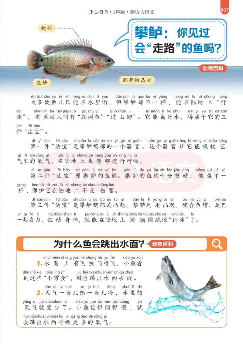 1下趣读大语文-围绕课本做拓展的杂志_2026春小学教辅大合集_13-26春《开心》系列_《趣读》杂志系列_《趣读大语文》
