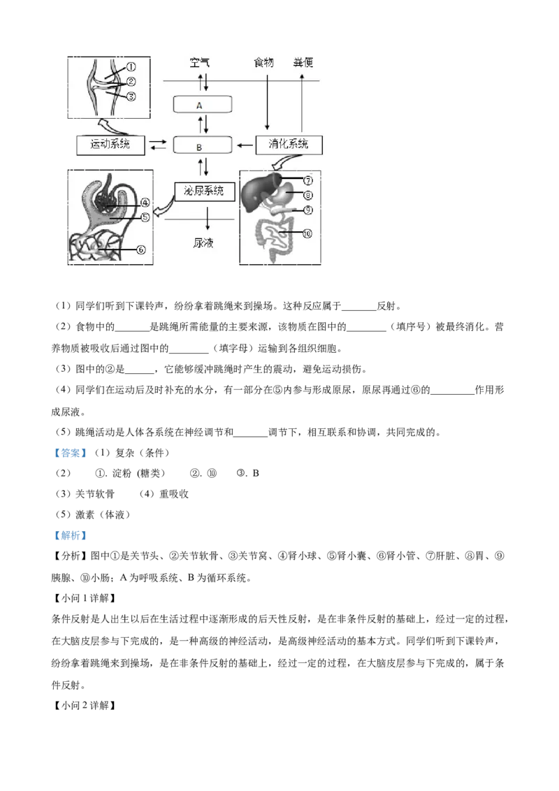 精品解析：2022年江西省中考生物真题（解析版）_6生物中考复习_2025中考复习资料_中考真题（近三年）_2022年生物中考真题114份_精品解析：2022年江西省中考生物真题