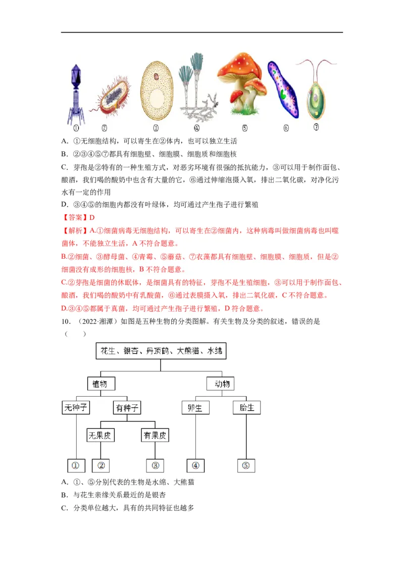 重难点08生物的多样性-2023年中考生物热点&middot;重点&middot;难点专练（全国通用）（解析版）_6生物中考复习_2023年中考复习资料_专项复习_2023年中考生物热点&middot;重点&middot;难点专练（全国通用）