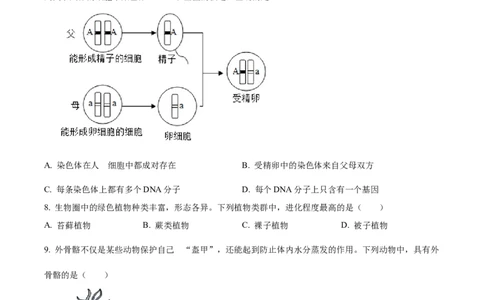 精品解析：2023年安徽省中考生物真题（原卷版）_new_6生物中考复习_2025中考复习资料_中考真题（近三年）_2023年生物中考真题