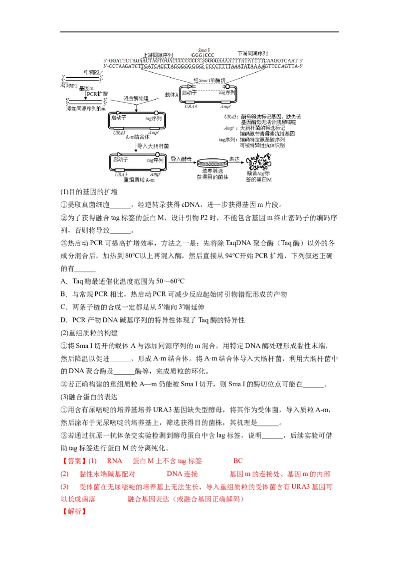 重难点19基因工程（解析版）_通用版（老高考）复习资料_2023年复习资料_专项复习_2023年高考生物热点&middot;重点&middot;难点专练（全国通用）