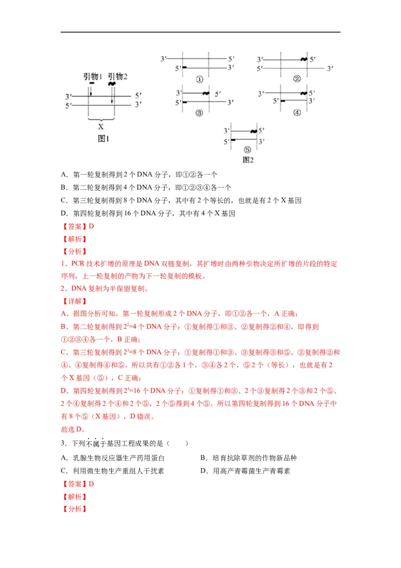 重难点19基因工程（解析版）_通用版（老高考）复习资料_2023年复习资料_专项复习_2023年高考生物热点&middot;重点&middot;难点专练（全国通用）