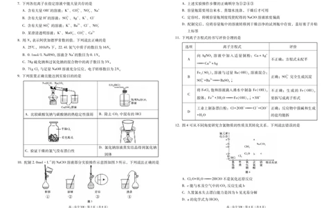 高一化学-试卷_2024年12月试卷_1225云南省西双版纳傣族自治州部分学校2024-2025学年高一上学期12月月考试题_云南省西双版纳傣族自治州部分学校2024-2025学年高一上学期12月月考化学试题