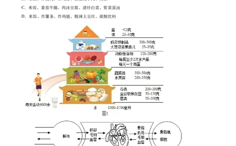 精品解析：2024年湖北省中考生物真题（原卷版）_new_6生物中考复习_2025中考复习资料_中考真题（近三年）_2024年生物中考真题