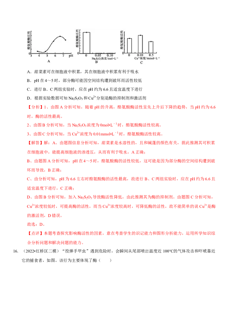 题型4与酶相关的实验设计与分析（题型集训）（解析版）_新高考复习资料_2023年新高考复习资料_二轮复习_技巧点拨备战2023年高考生物二轮题型复习讲解286731240
