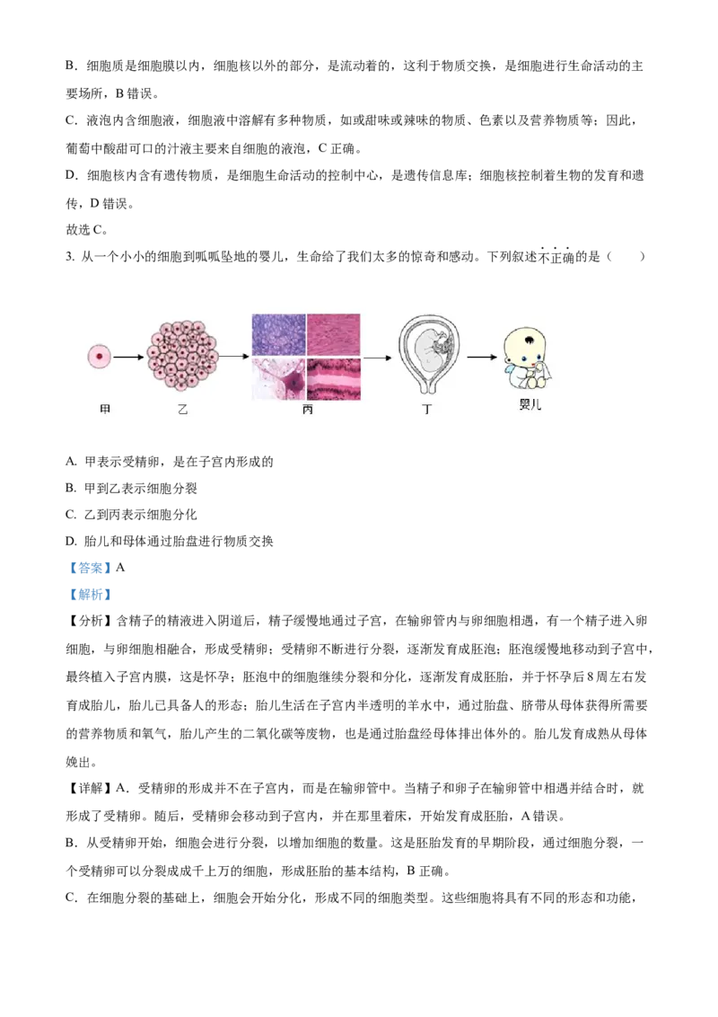 精品解析：2024年宁夏中考生物真题（解析版）_new_6生物中考复习_2025中考复习资料_中考真题（近三年）_2024年生物中考真题