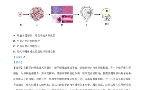 精品解析：2024年宁夏中考生物真题（解析版）_new_6生物中考复习_2025中考复习资料_中考真题（近三年）_2024年生物中考真题