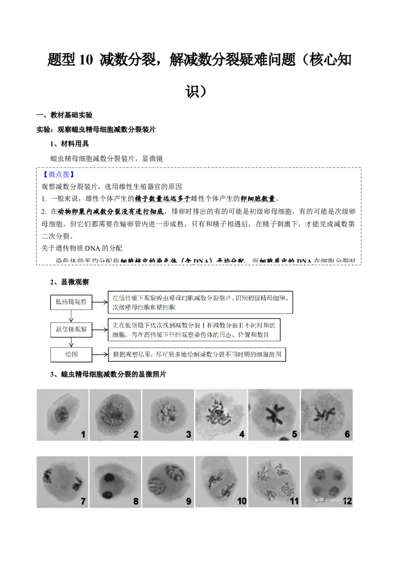 题型10减数分裂，解减数分裂疑难问题（核心知识）（原卷版）_新高考复习资料_2023年新高考复习资料_二轮复习_技巧点拨备战2023年高考生物二轮题型复习讲解286731240