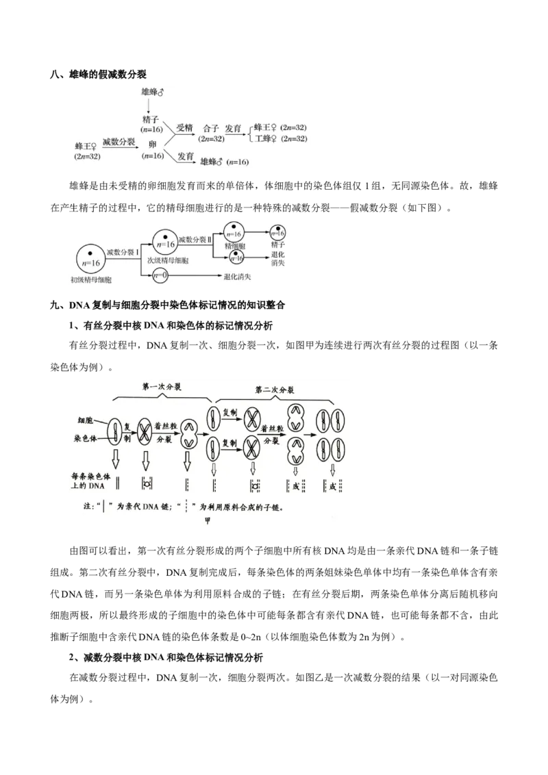 题型10减数分裂，解减数分裂疑难问题（核心知识）（原卷版）_新高考复习资料_2023年新高考复习资料_二轮复习_技巧点拨备战2023年高考生物二轮题型复习讲解286731240