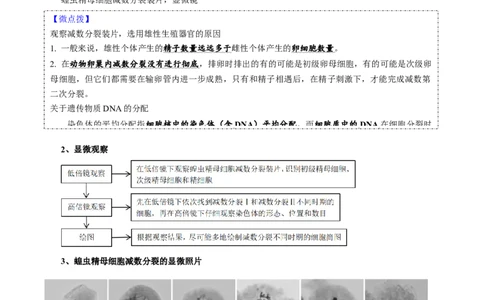 题型10减数分裂，解减数分裂疑难问题（核心知识）（原卷版）_新高考复习资料_2023年新高考复习资料_二轮复习_技巧点拨备战2023年高考生物二轮题型复习讲解286731240