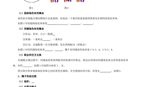 题型10减数分裂，解减数分裂疑难问题（核心知识）（原卷版）_新高考复习资料_2023年新高考复习资料_二轮复习_技巧点拨备战2023年高考生物二轮题型复习讲解286731240