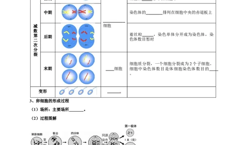 题型10减数分裂，解减数分裂疑难问题（核心知识）（原卷版）_新高考复习资料_2023年新高考复习资料_二轮复习_技巧点拨备战2023年高考生物二轮题型复习讲解286731240