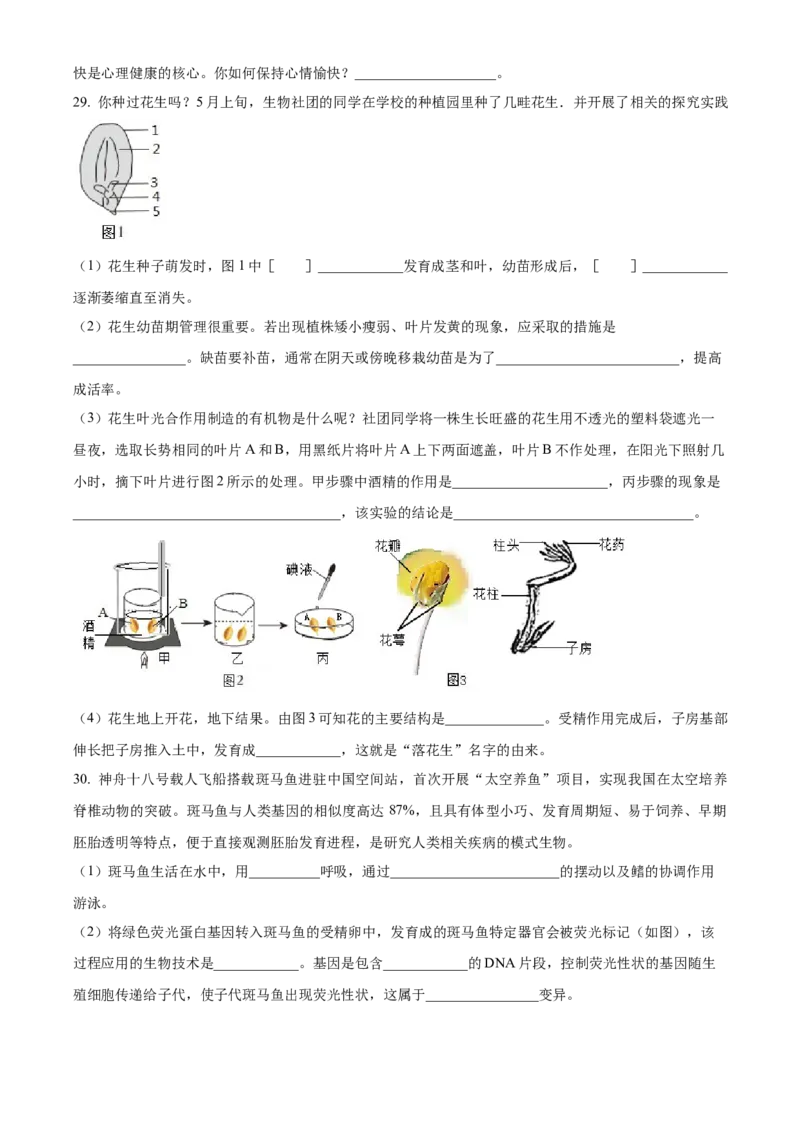 精品解析：2024年山东省烟台市中考生物试题（原卷版）_new_6生物中考复习_2025中考复习资料_中考真题（近三年）_2024年生物中考真题