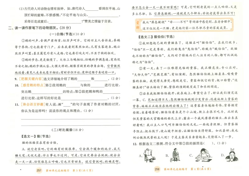 20265.3天天练小学四下语文卷_2026春小学教辅大合集_7-26春《53天天练》系列_26春《53天天练》语文_26春《53天天练》语文4下