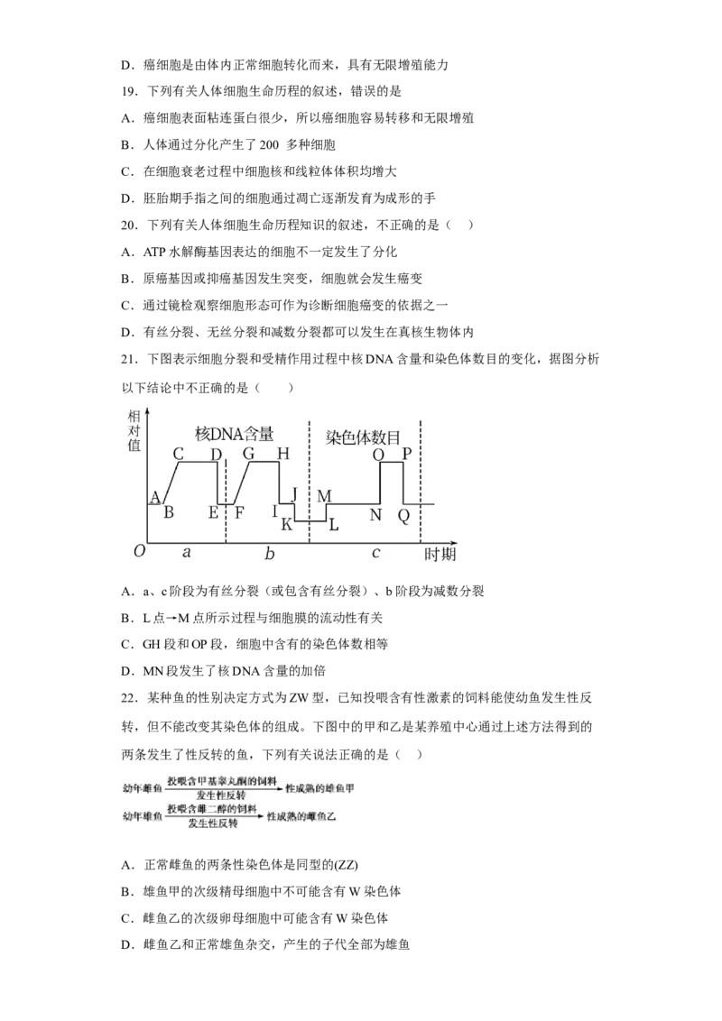 陕西省西北工业大学附属中学2022-2023学年高三上学期1月期末生物试题_生物高考模拟题_新高考_2023年