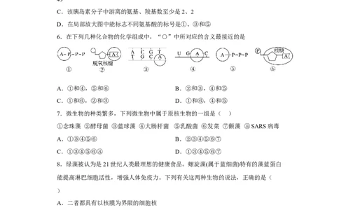 陕西省西北工业大学附属中学2022-2023学年高三上学期1月期末生物试题_生物高考模拟题_新高考_2023年