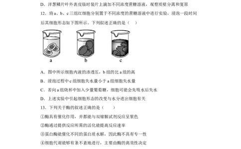 陕西省西北工业大学附属中学2022-2023学年高三上学期1月期末生物试题_生物高考模拟题_新高考_2023年