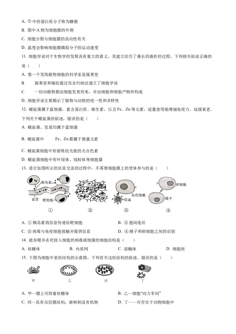 青海省海南州2024-2025学年高一上学期期中质量检测生物试题Word版无答案_2024年12月试卷_1224青海省海南州2024-2025学年高一上学期期中质量检测试题